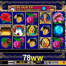 78ww Rio de Janeiro - Professional Dealers